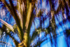 icm-divers-12