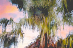 icm-divers-13
