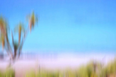 baja-05