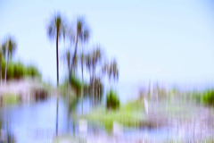 baja-06