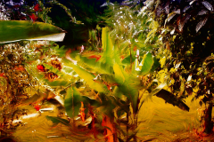 empreinte_03