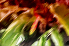 empreinte_06