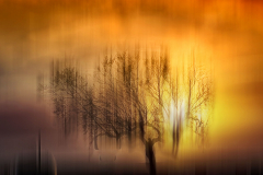 empreinte_07
