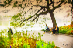 hanoi-lac-12-Copie