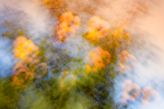 icm-divers-01