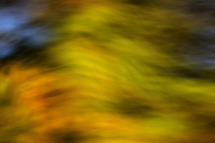 icm-divers-02