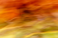 icm-divers-03