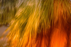 icm-divers-04