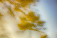 icm-divers-06