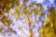icm-divers-07