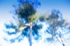 icm-divers-11