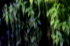 icm-divers-14