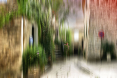nature-05