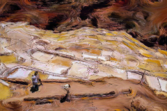 salins-03