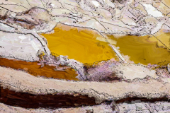 salins-08