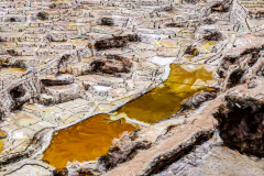 salins-09