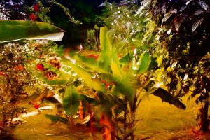 Dernier album publié.